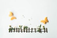 Top view of creative composition made of dried tiny flowers and sticks with ripe tangerine slices arranged on white surface