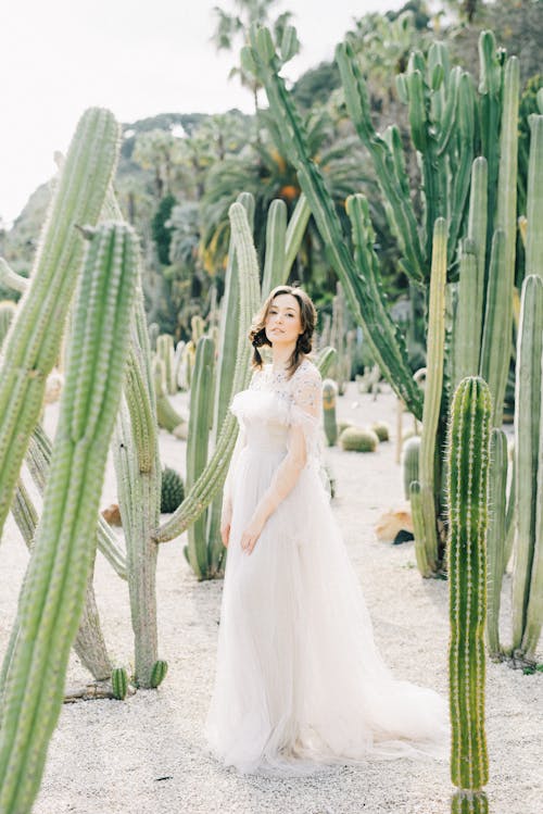 Free A Woman in White Dress Standing Near Green Cactus Plants Stock Photo