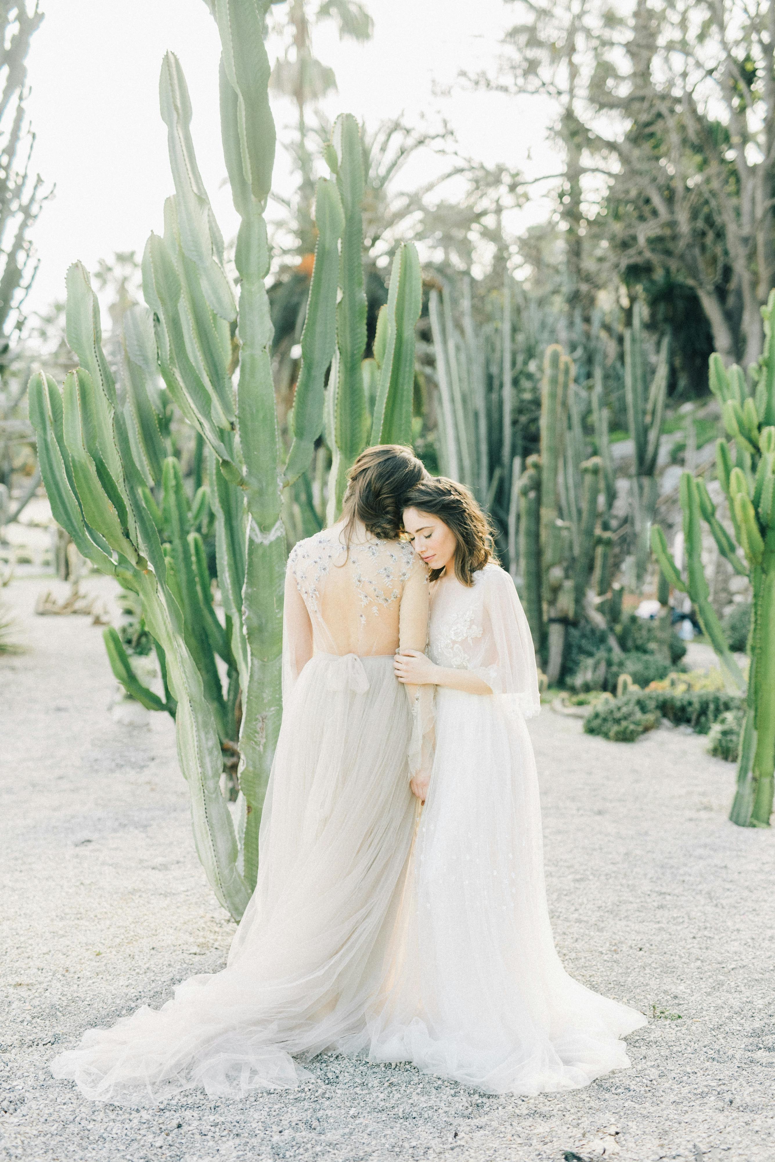 两名身穿婚纱的女子在高大的仙人掌丛中相拥，营造出宁静优雅的氛围