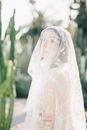 一幅描绘了戴着蕾丝面纱、置身于绿色植物间的女子的优雅户外肖像