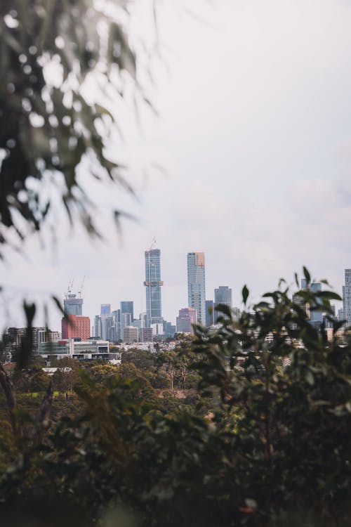 Immagine gratuita di australia, città, edifici