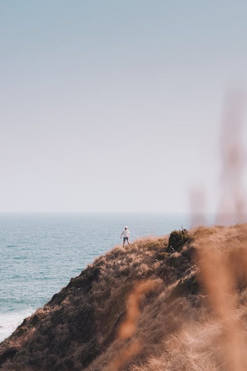 Gratis lagerfoto af bjerg, brunt græs, hav