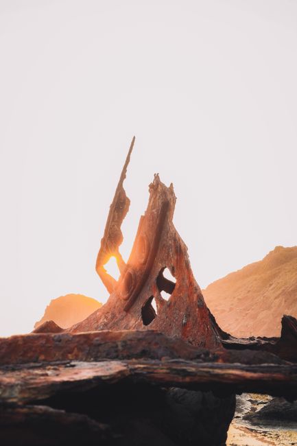 A striking image of a rusted shipwreck on the Australian coast captured at sunset, highlighting erosion and decay.