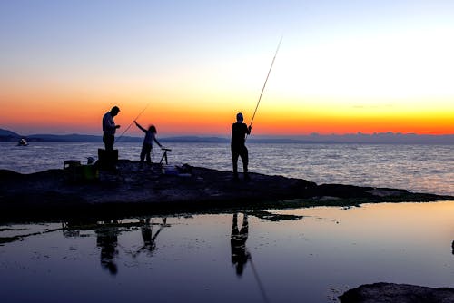 Free stock photo of balıkçılar, günbatımı sahili, siluet Stock Photo