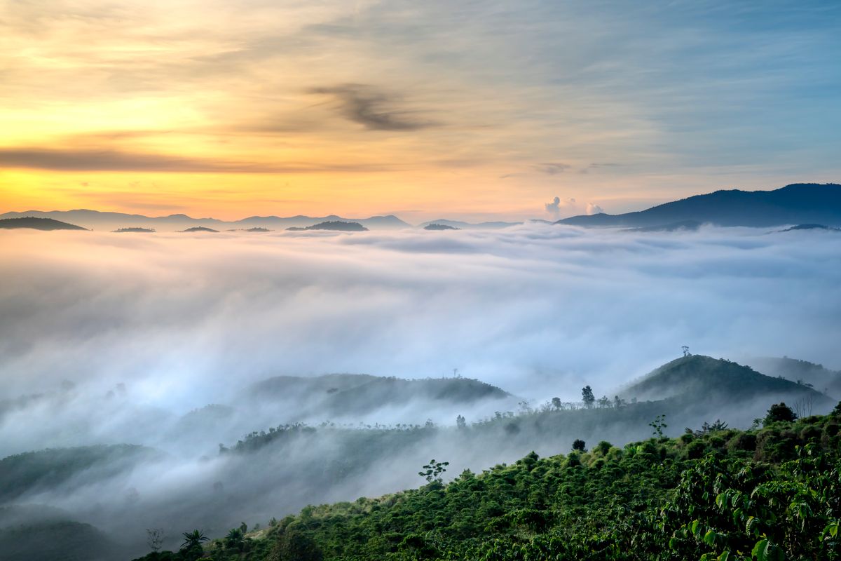 A sea of cloud filling the valley below the ridge at sunrise, the sky lit warm orange.
