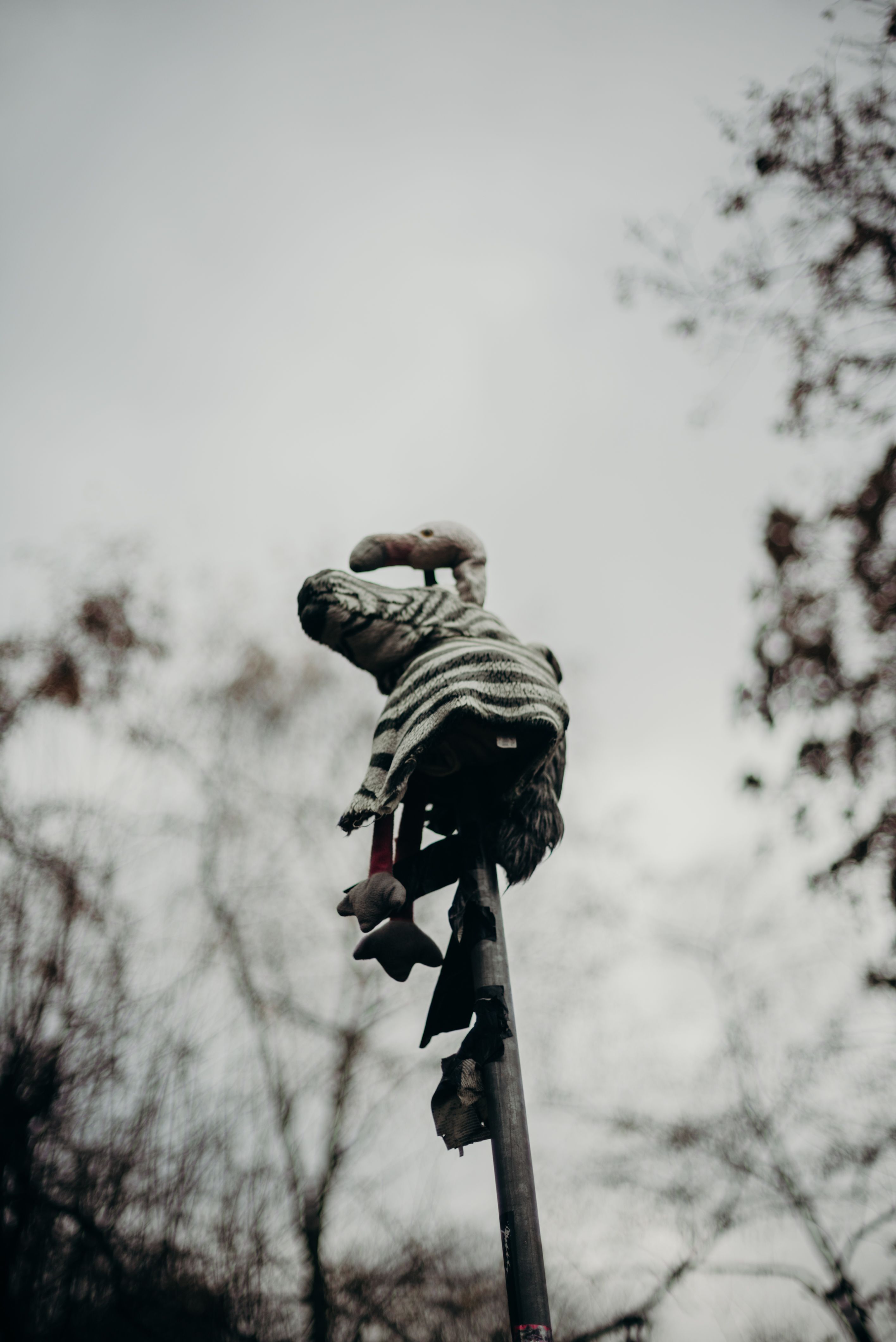 A unique street art installation featuring a zebra-striped toy on a pole against a grey sky.