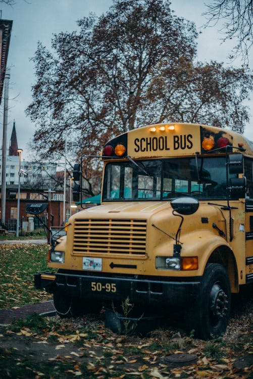 Free Yellow School Bus on Road Stock Photo