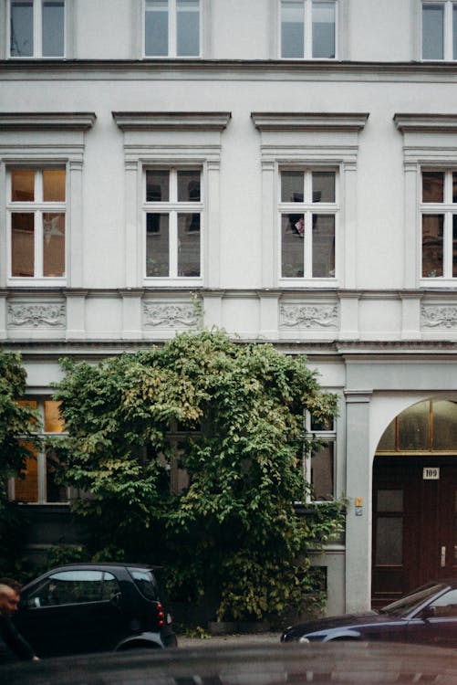 Kostenloses Stock Foto zu architektur, baum, berlin