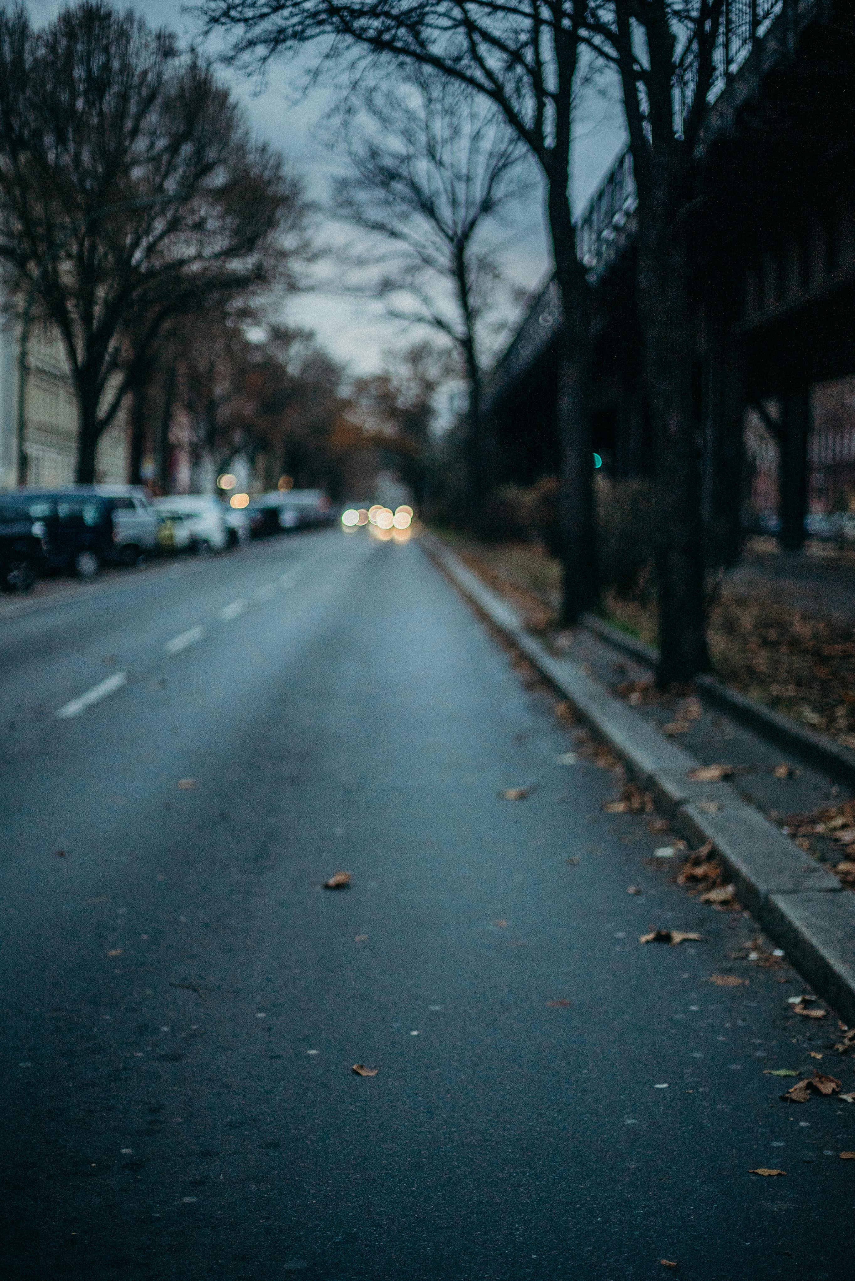 黄昏时分，一条宁静的城市街道上，秋叶飘落，车灯模糊，气氛平静