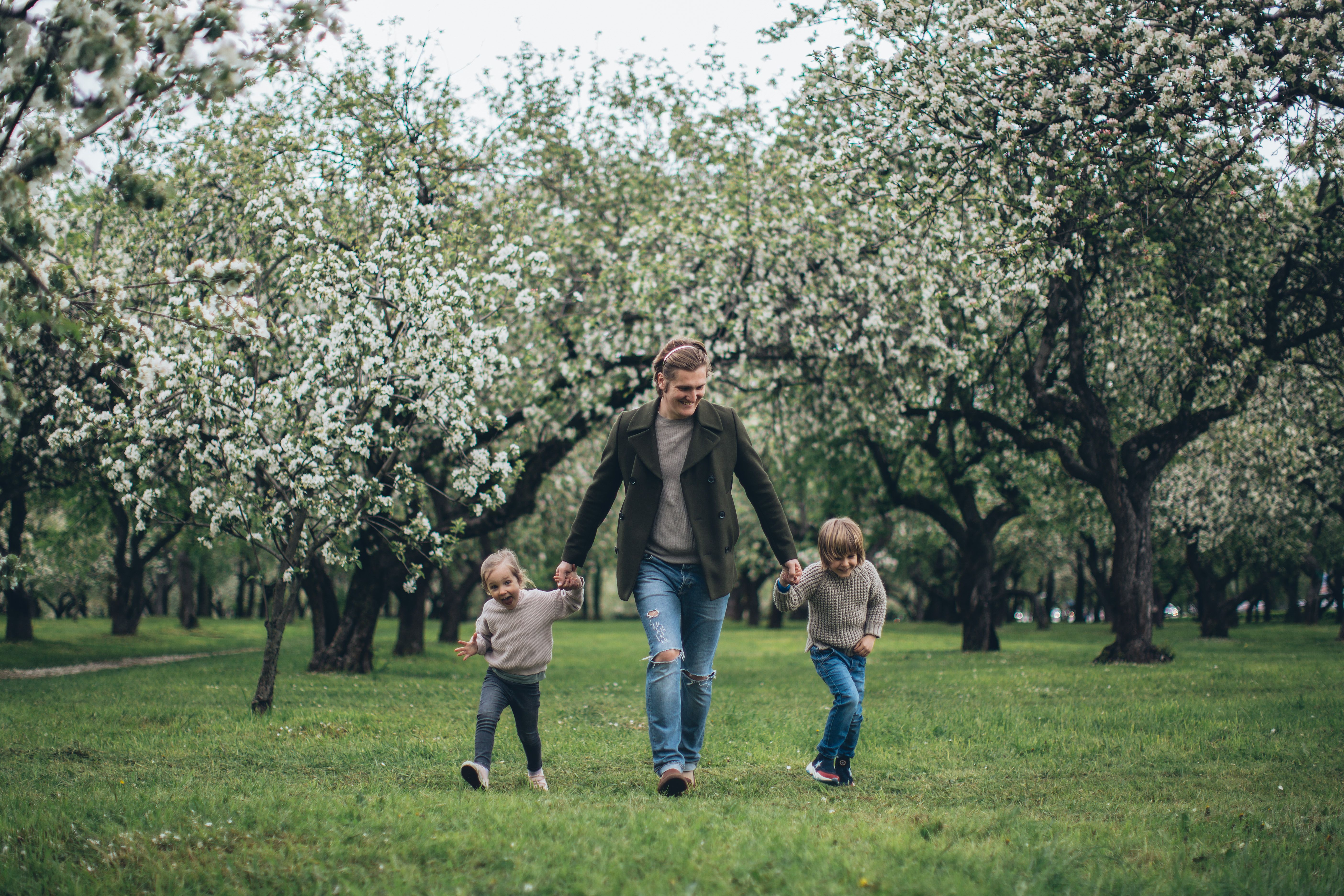 Milliman expands life insurance ALM services with new SAA solution — Photo by Elina Fairytale on Pexels