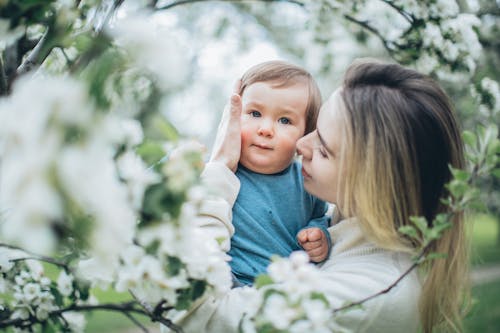 Imagine de stoc gratuită din a fi mamă, adorabil, adunare de familie