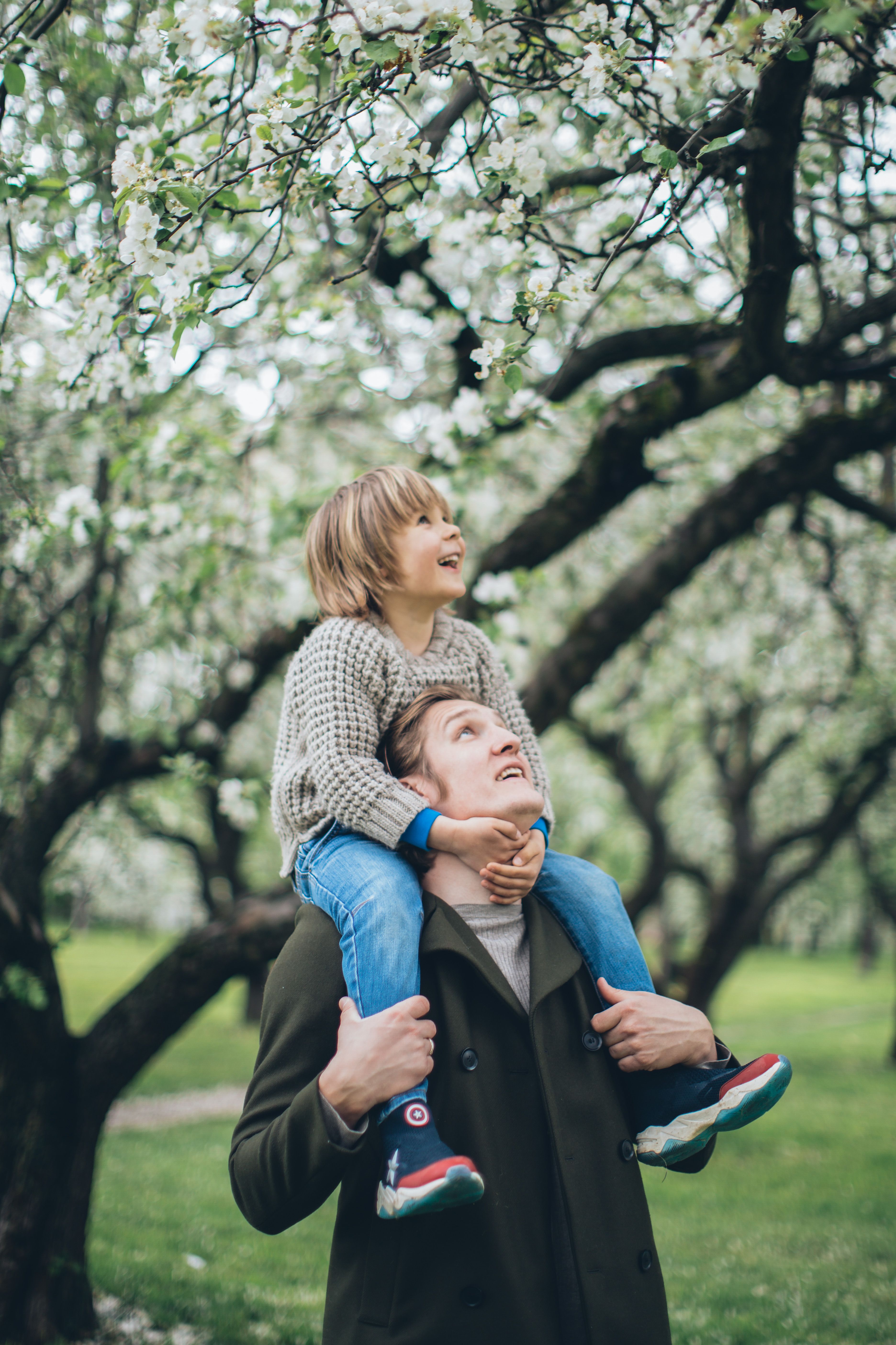 A Man Carrying a Child on His Shoulders · Free Stock Photo