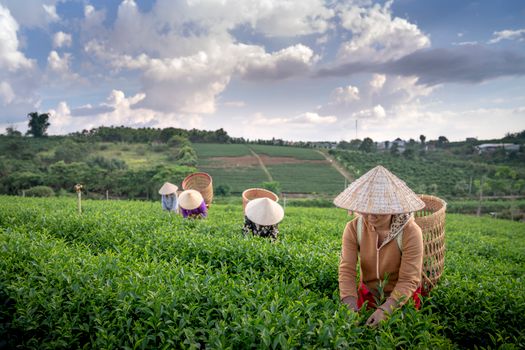 打造中国最具影响力的综合电竞内容与社区平台 - 虎扑电竞官网