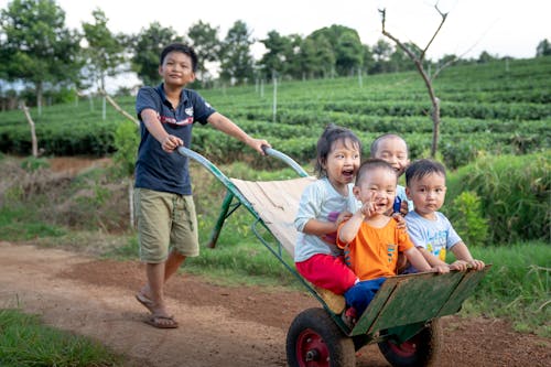 Foto stok gratis agrikultura, aktivitas, alam