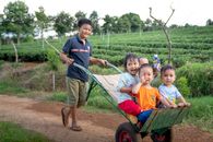 Funny Asian toddlers having fun while brother riding metal wheelbarrow on rural road in green agricultural plantation