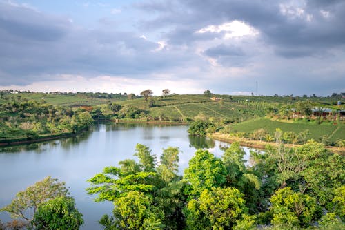 Picturesque scenery of peaceful pond located in green terrain with lush trees and agricultural fields against cloudy sky