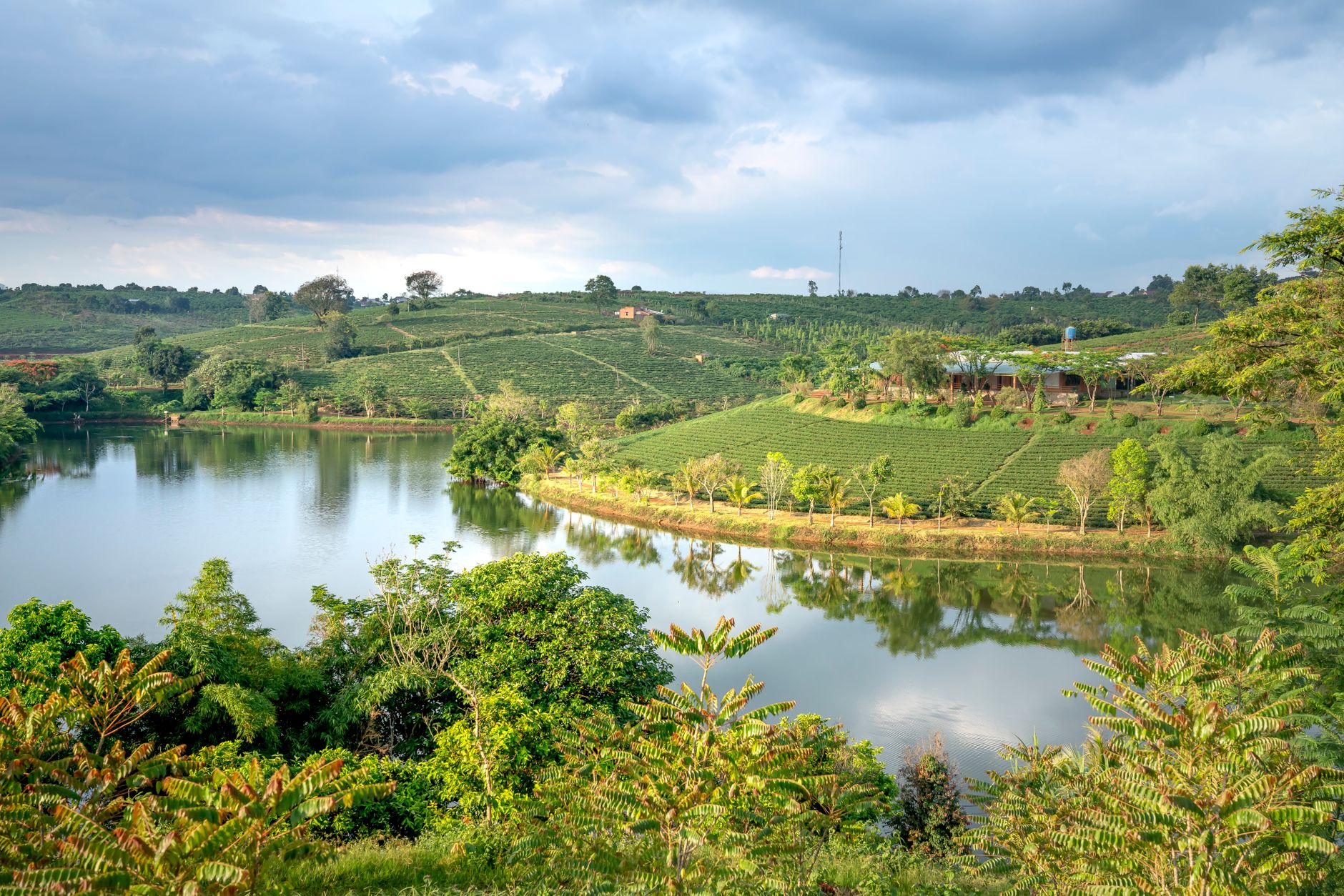 Small calm lake surrounded by lush green tropical trees near agricultural plantations against cloudy sky
