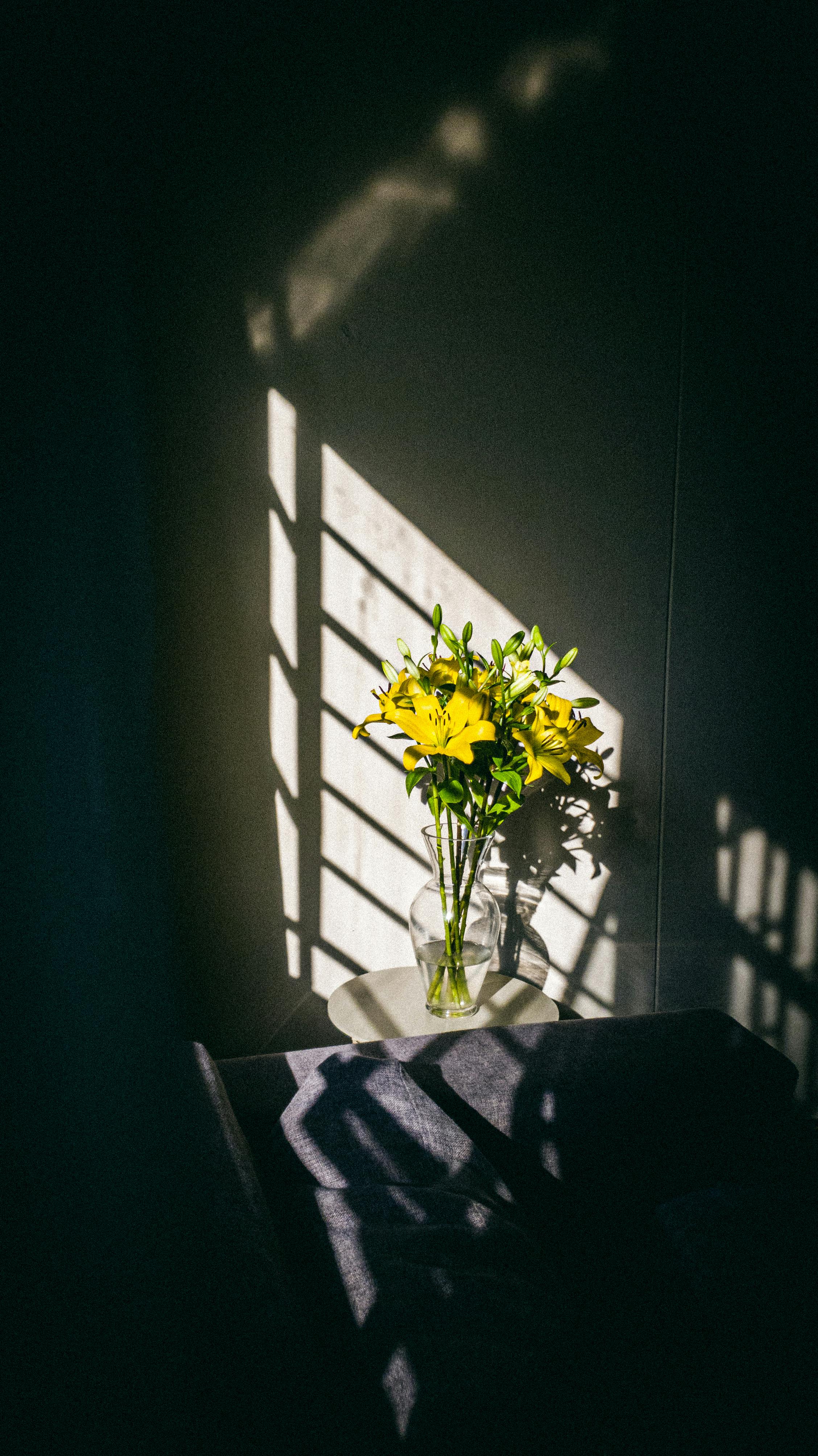 Bouquet of yellow lilies in glass vase in sunlight going through blinds on window in cozy room