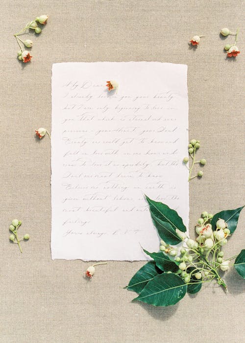 Белая книга с зелеными листьями