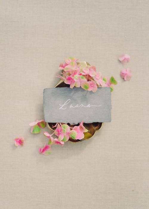 Free Pink and White Flowers on Gray Box Stock Photo