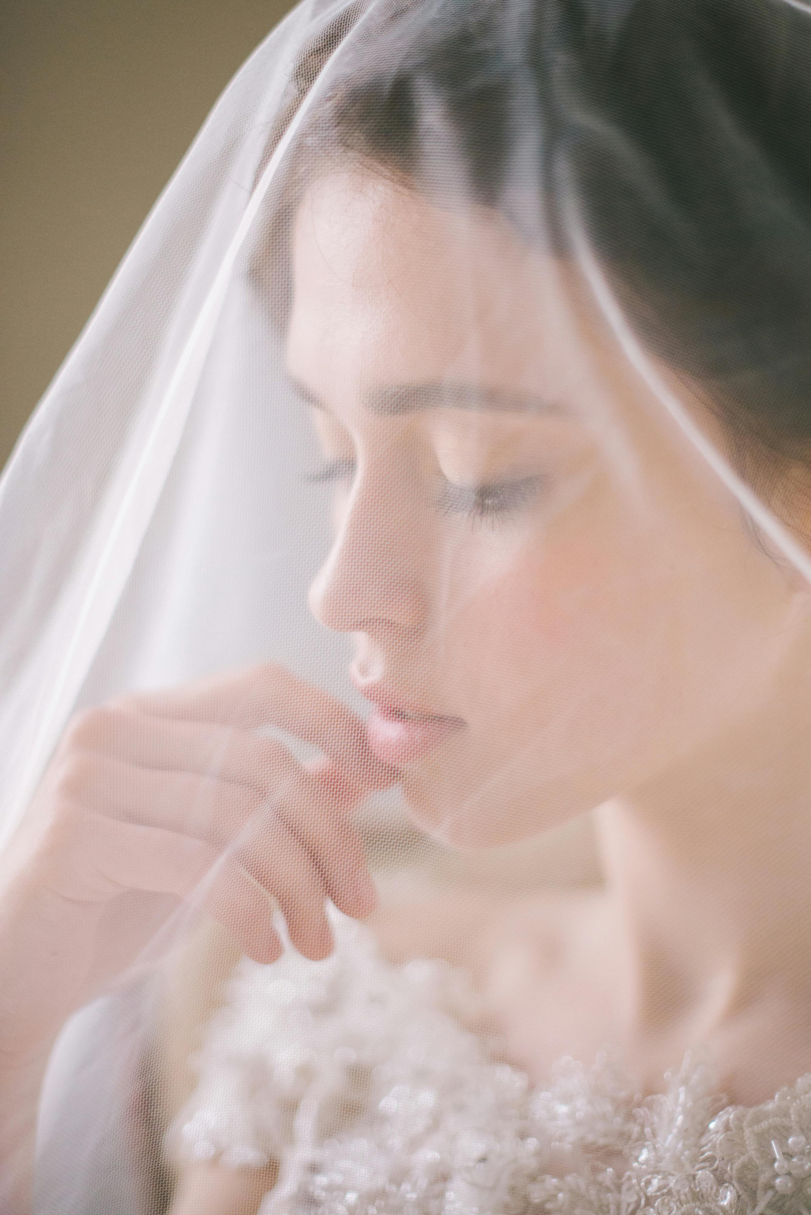 28,500+ Veil Net Stock Photos, Pictures & Royalty-Free Images - iStock