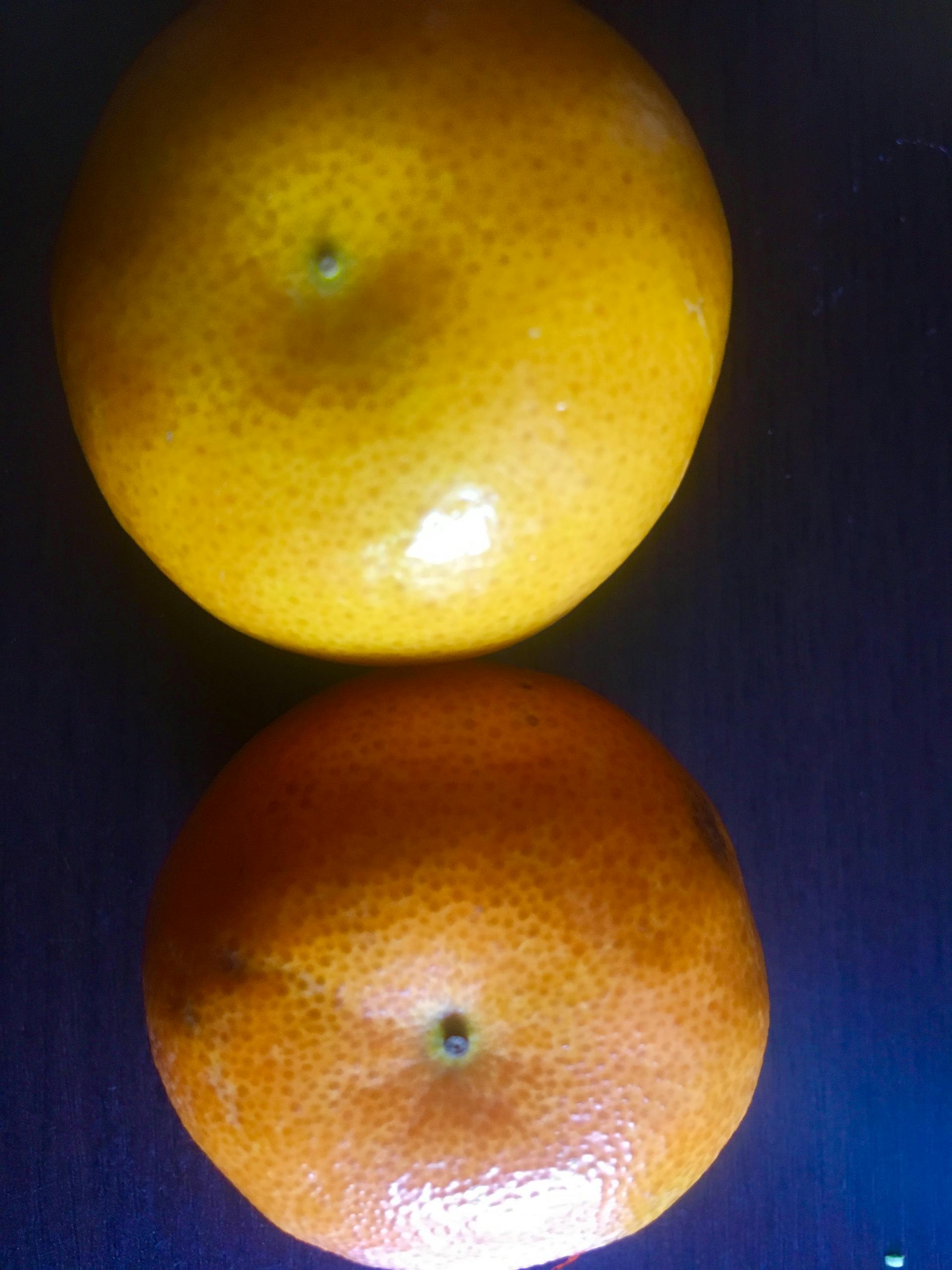 Private Lebensversicherung