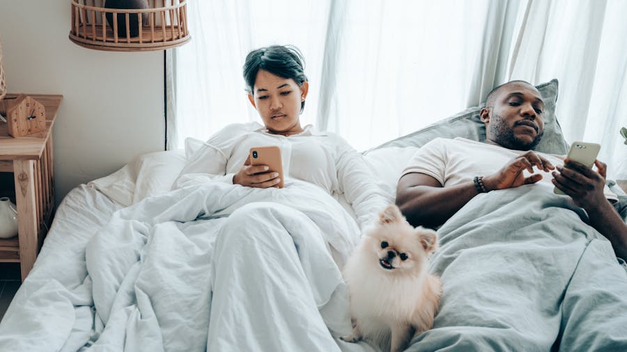 Focused young diverse spouses lying in bed in morning with cute Pomeranian Spitz and browsing smartphones