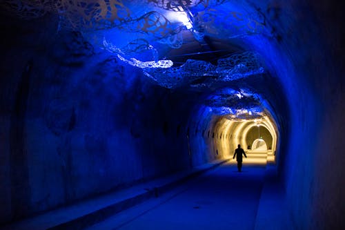 Person Walking on Pathway With Blue Lights