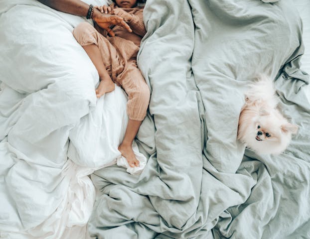 A child and a fluffy dog reclining comfortably on cozy white and green bed linens.