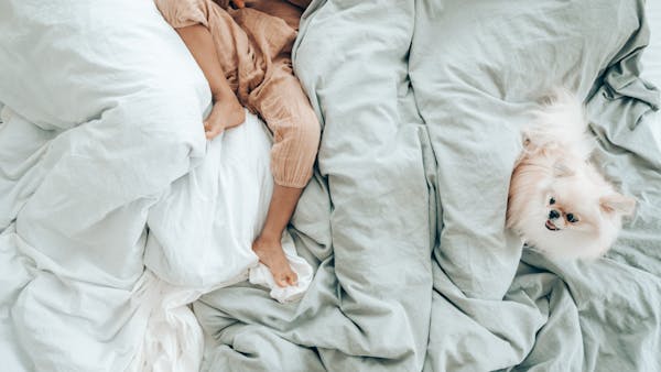 A child and a fluffy dog reclining comfortably on cozy white and green bed linens.