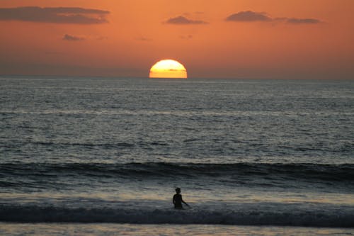 Free stock photo of sunset surfer