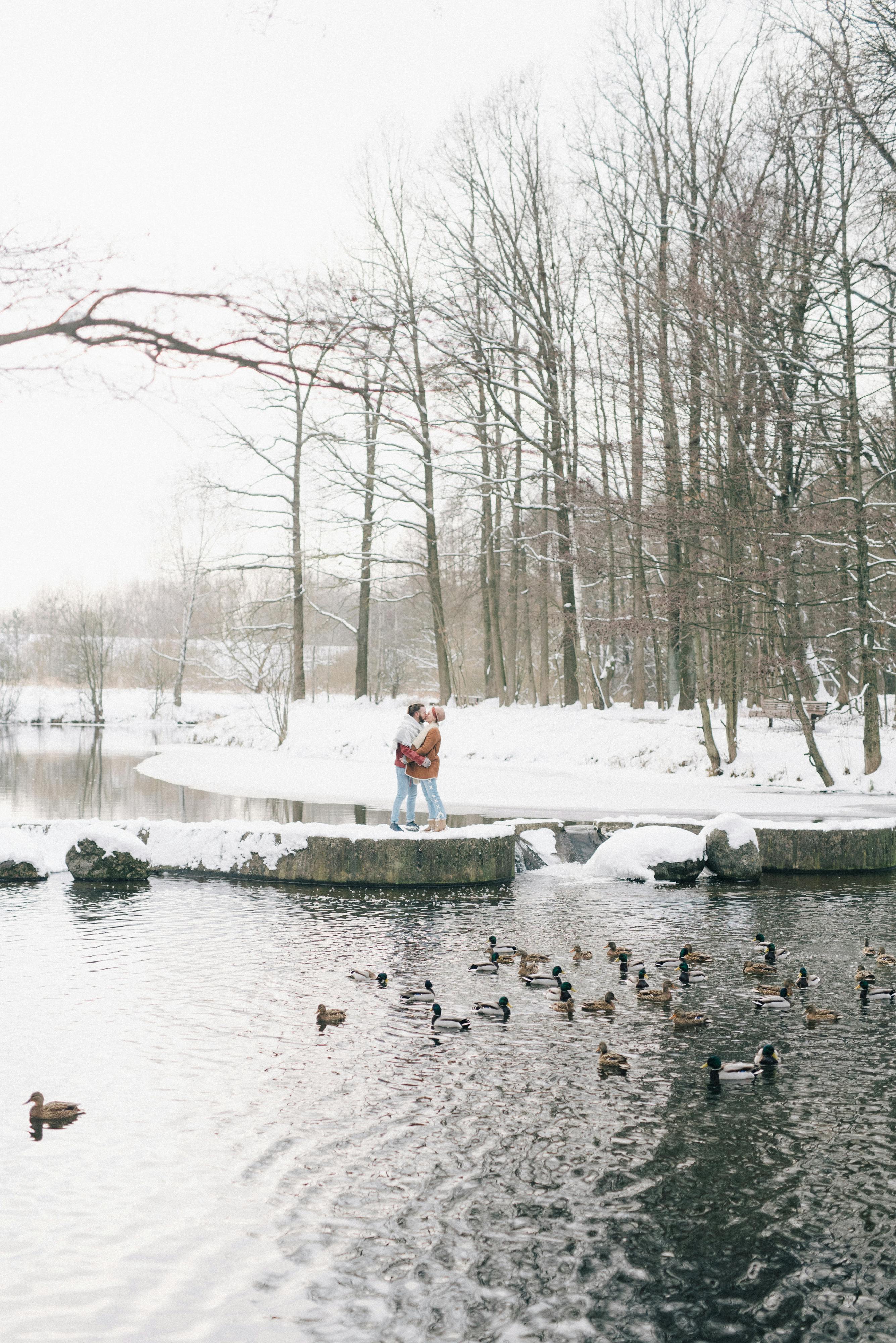 一对夫妇在冬季公园的湖边拥抱，周围是雪和鸭子