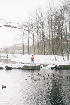 一对夫妇在冬季公园的湖边拥抱，周围是雪和鸭子