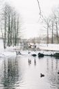 一对夫妇手牵着手，穿过白雪皑皑的河流，河流四周环绕着冬日的森林