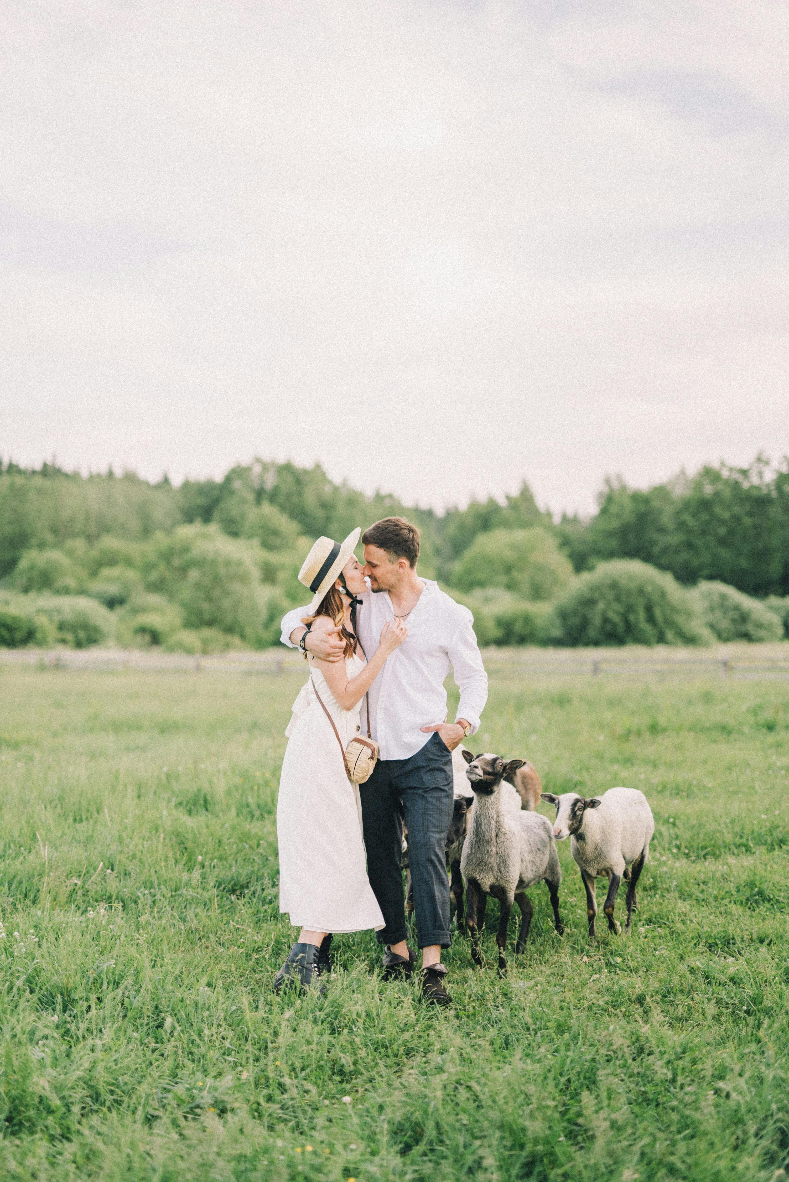 couple walking on a field with sheep