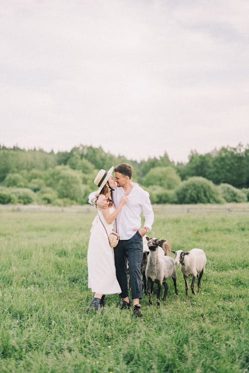 Couple Walking on a Field With Sheep