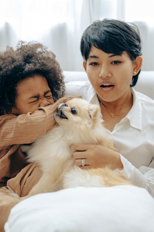 Ethnic mother watching TV with kid playing with dog at home