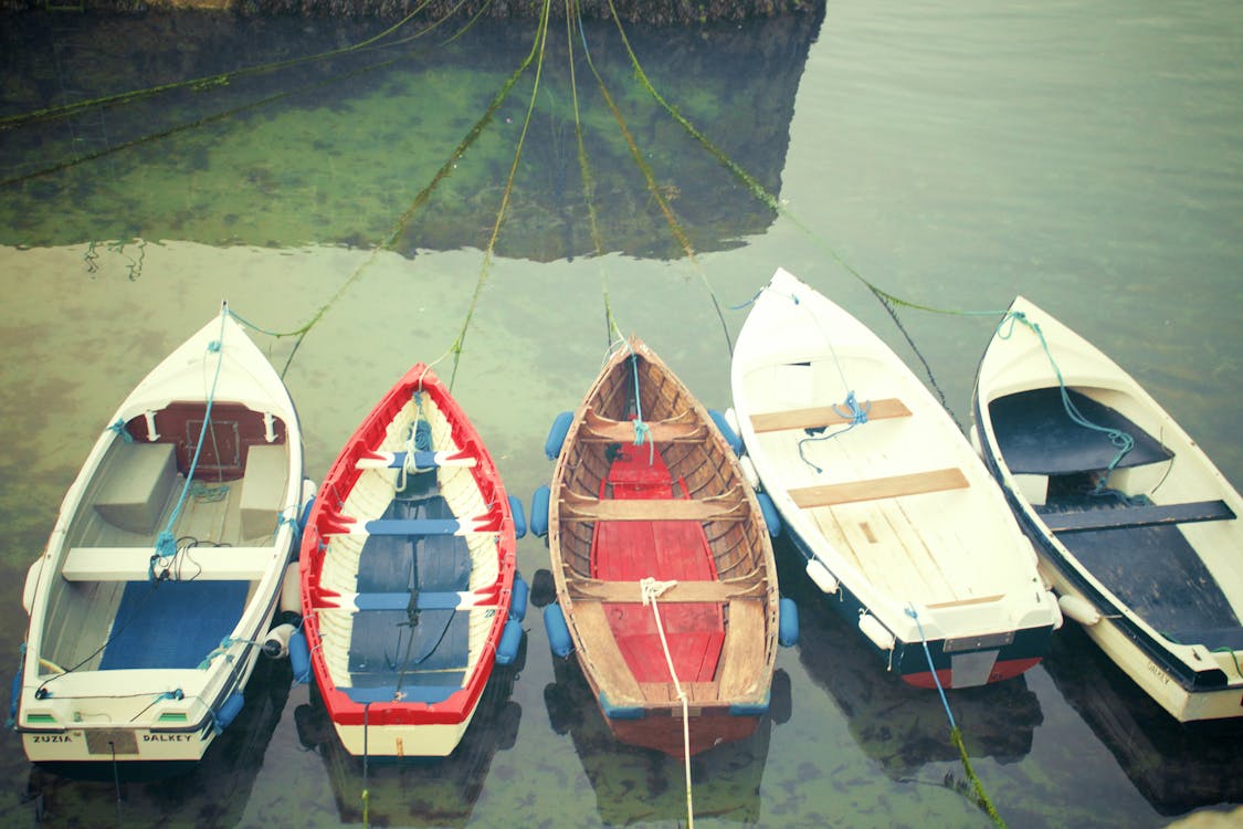 бесплатная Бесплатное стоковое фото с лодки Стоковое фото