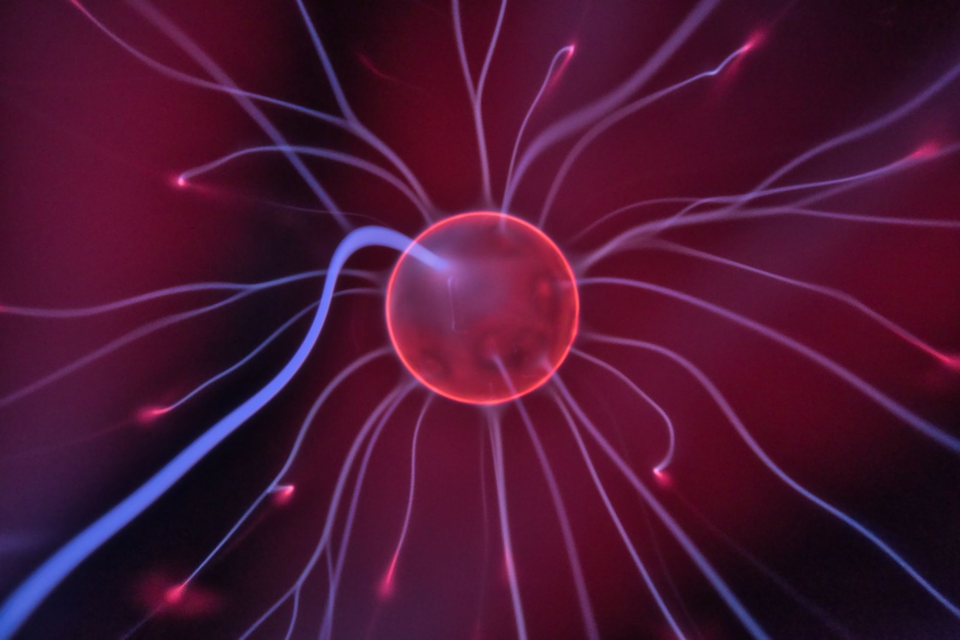 The Fascinating Science of How Habits Are Formed