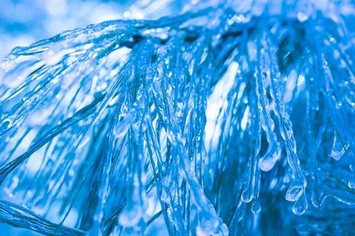 Free stock photo of ice, macro, winter Stock Photo