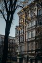 柏林历史建筑的迷人景色中，树木点缀在前景，天空清澈