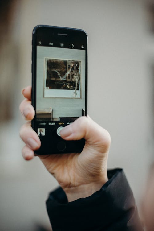 Základová fotografie zdarma na téma apple, chytrý telefon, detail