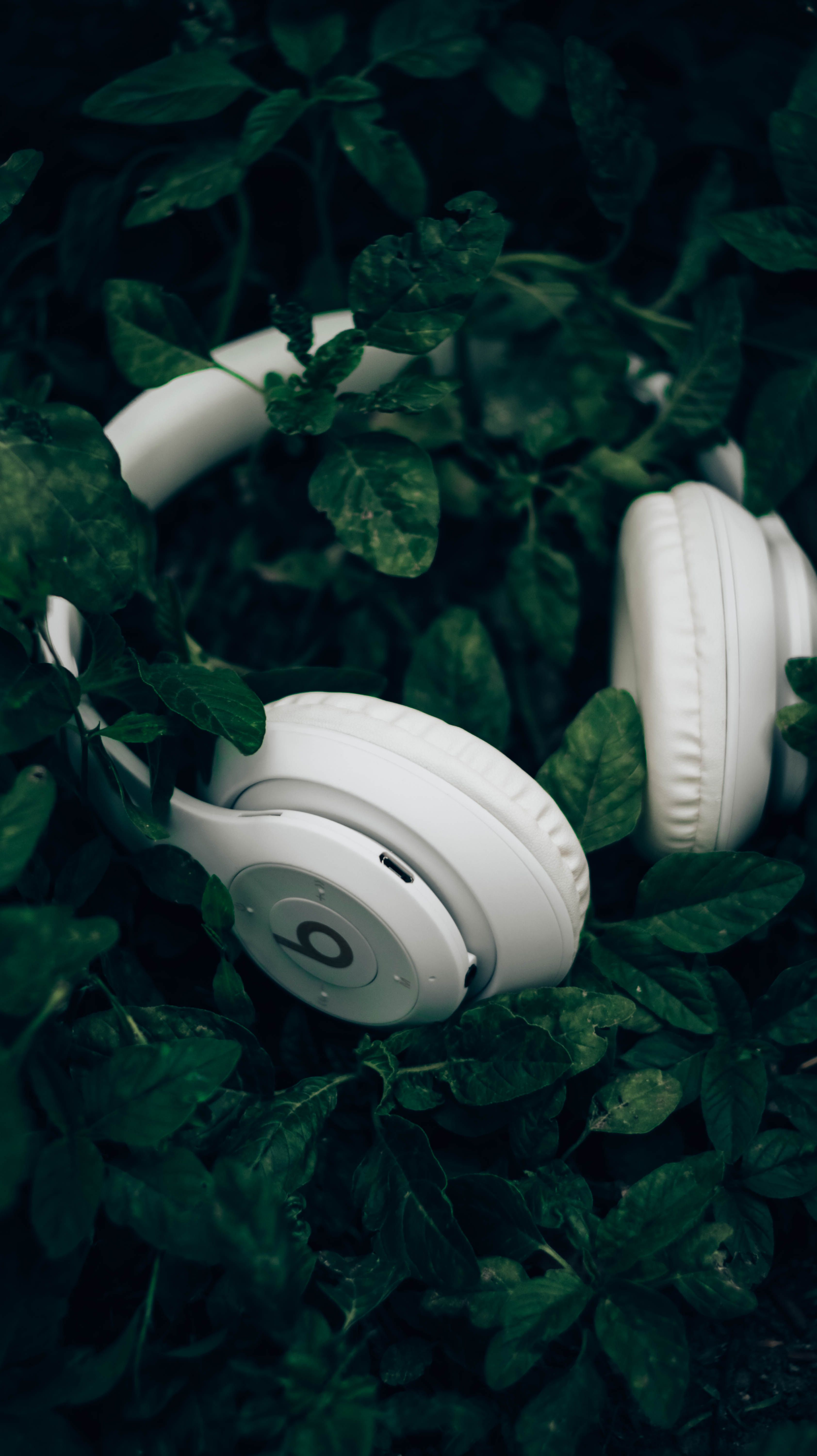 A quiet upgrade to morning sound habits