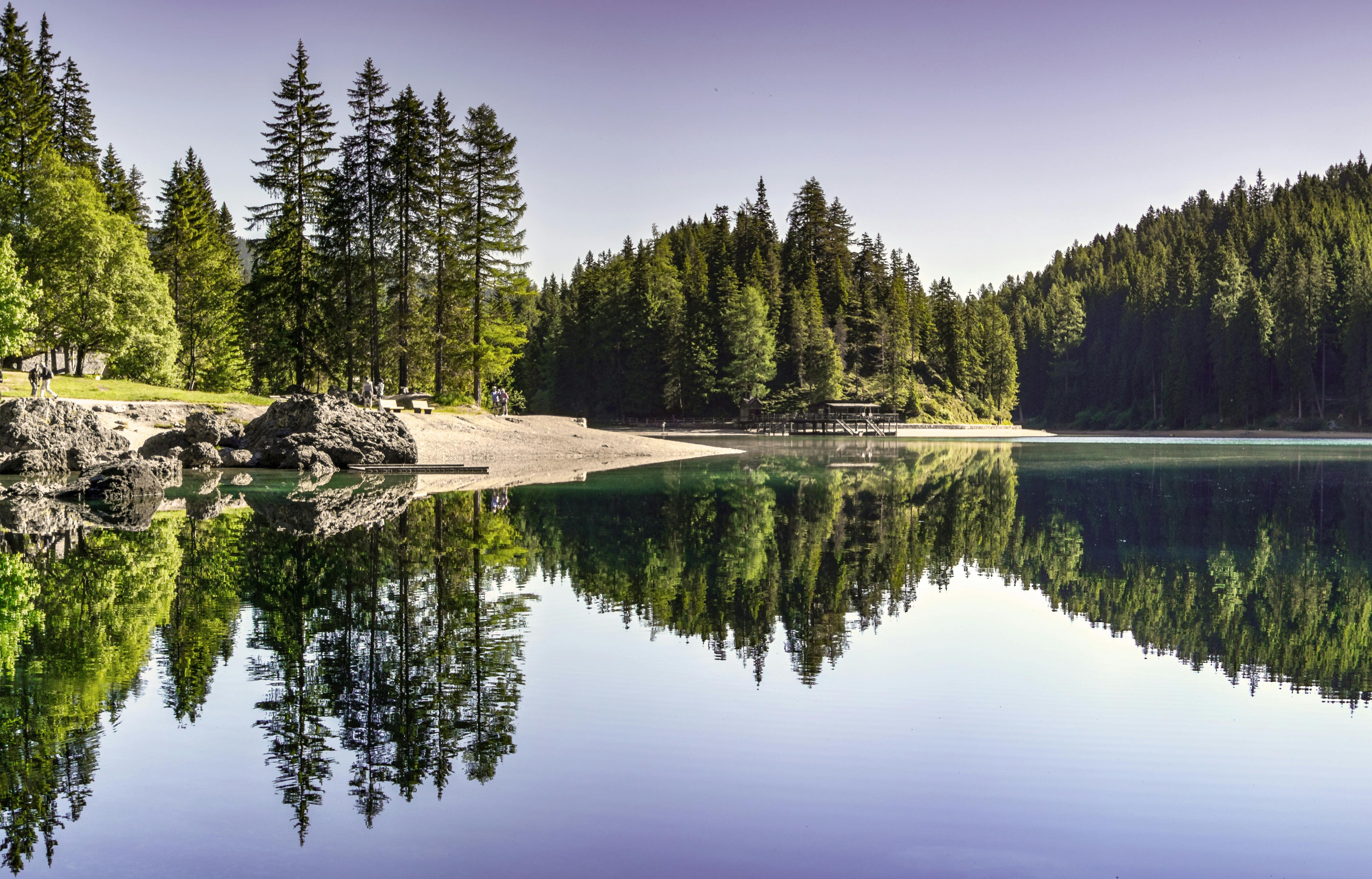 Body of Water Near Trees · Free Stock Photo