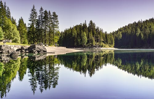 Free Body of Water Near Trees Stock Photo