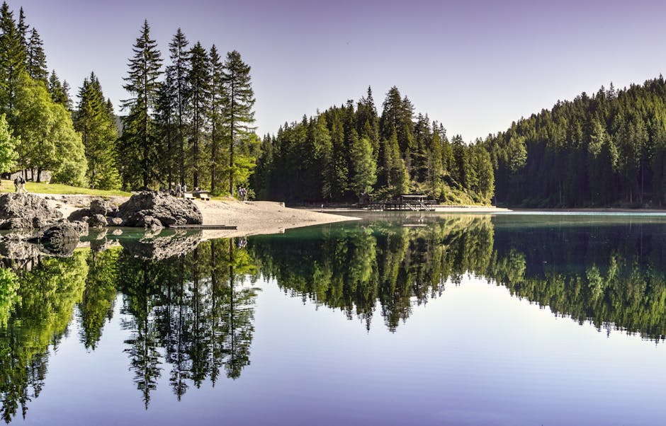 Body of Water Near Trees