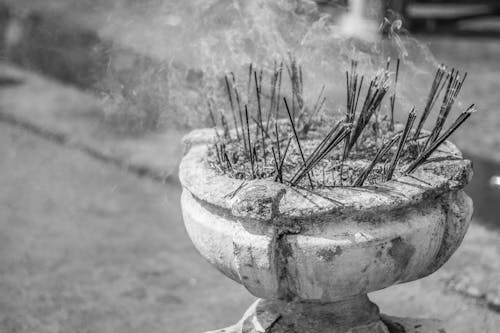 Black and White Photo of a Smoking Incense