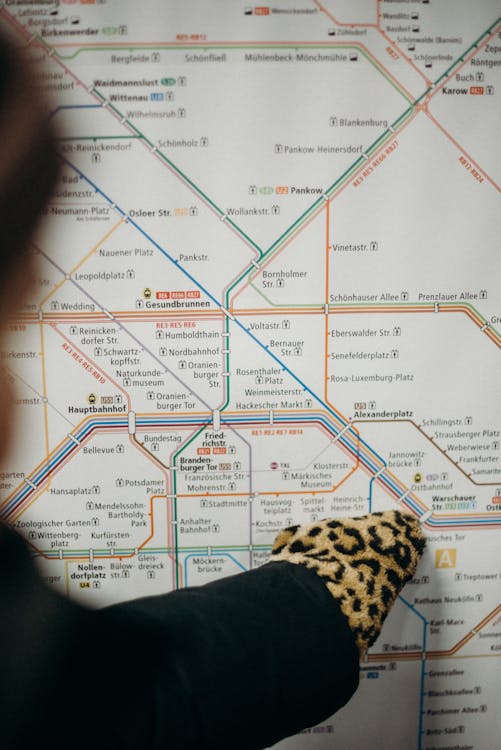 Základová fotografie zdarma na téma Berlín, leopard tisk, mapa