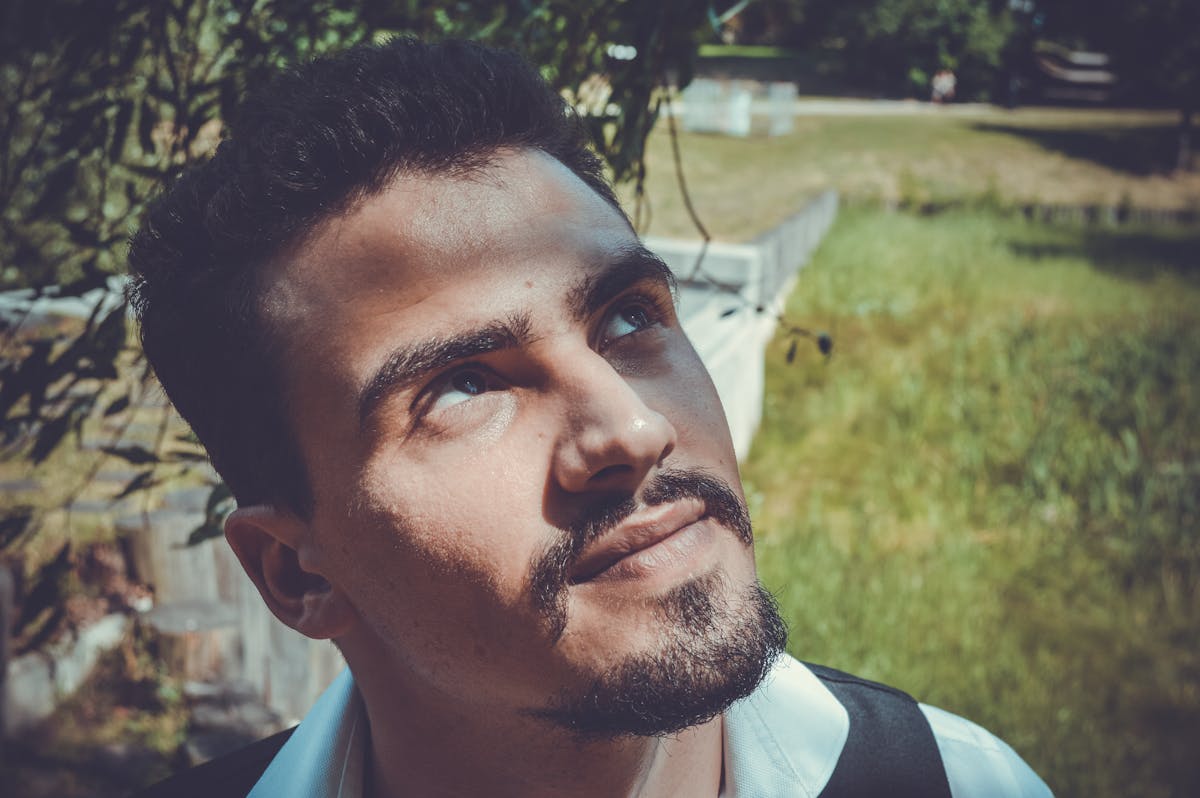 Assorted mushrooms including lion's mane and reishi on a rustic wooden board