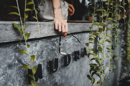 特写一只手握着太阳镜，树叶繁茂，户外环境宁静